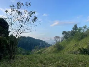 Peradeniya Land – (200 perches) Main Road Property