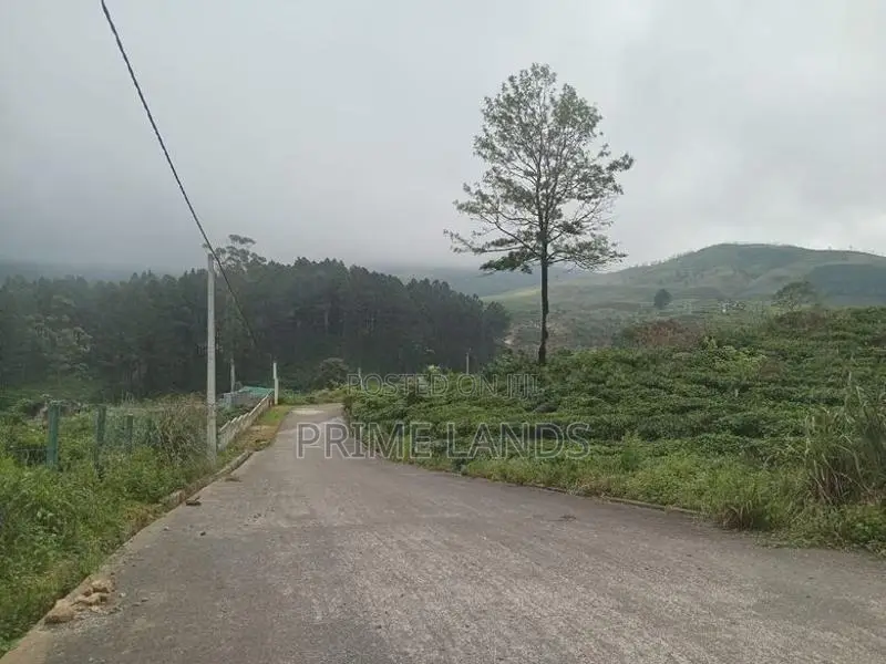 Land for sale Nuwara Eliya Road