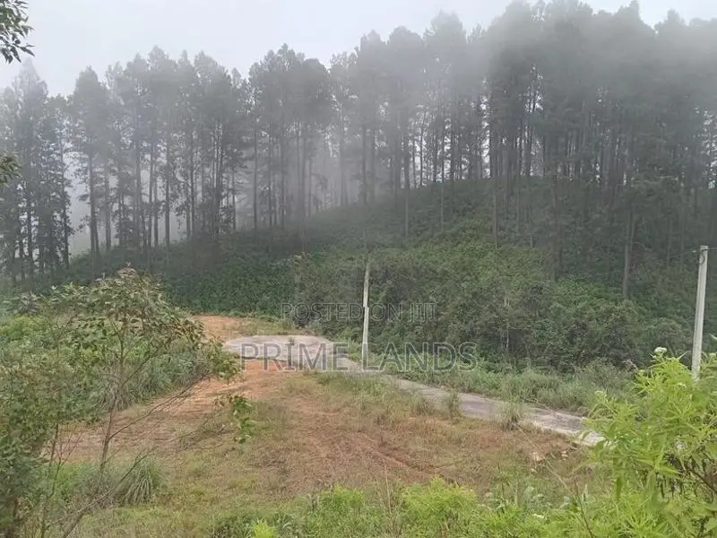 Land for sale Nuwara Eliya Road