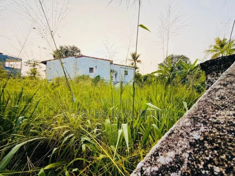 6.5 P Bare Land Sale at Nagamula Road Pelawatha Battramulla
