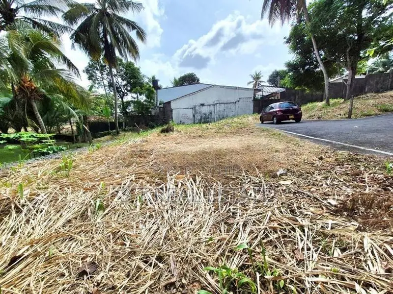 11.50P Bare Land For Sale In Battaramulla