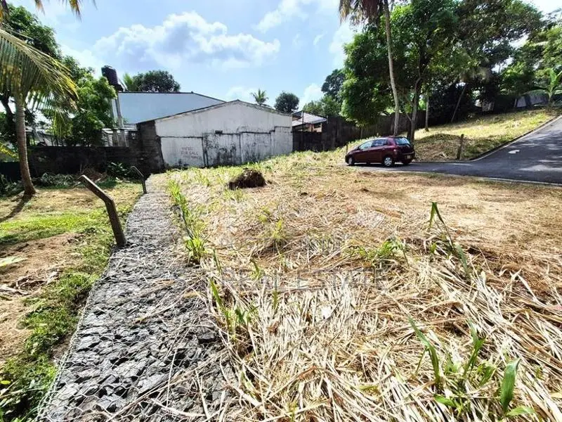 11.50P Bare Land For Sale In Battaramulla