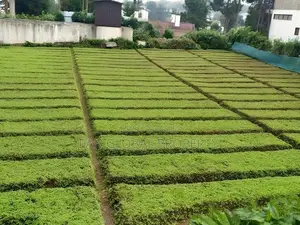 Commercial Land for Sale in Nuwara Eliya