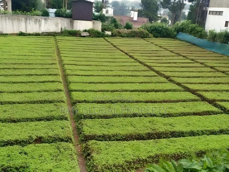 Commercial Land for Sale in Nuwara Eliya