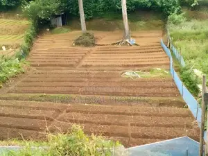Commercial Land for Sale in Nuwara Eliya
