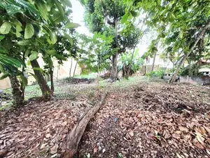 14P Bare Land For Sale In Nawala