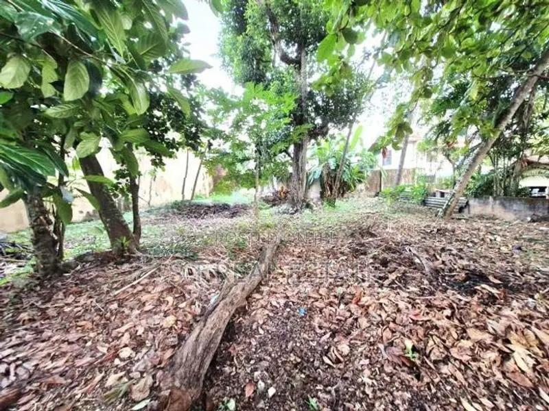 14P Bare Land For Sale In Nawala