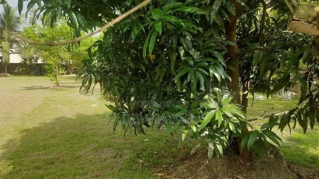 Land for Sale in Rajagiriya DS8200