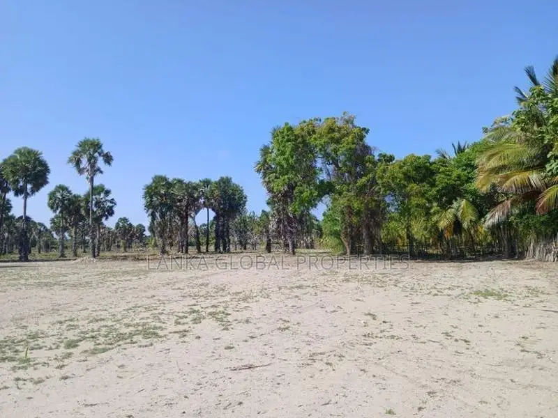 Land Sale in Jaffna - 289 Parapu closer to Water-13 Lakhs /Parapu