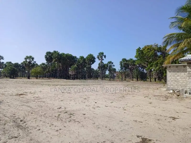 Land Sale in Jaffna - 289 Parapu closer to Water-13 Lakhs /Parapu