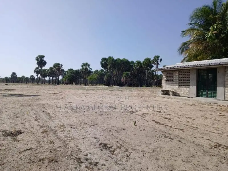 Land Sale in Jaffna - 289 Parapu closer to Water-13 Lakhs /Parapu