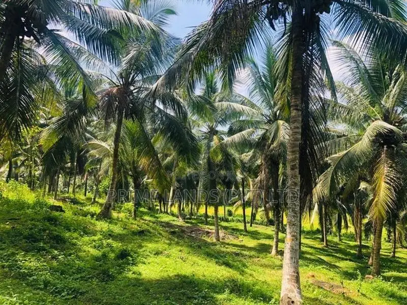 ආයෝජනය සඳහා සුදුසු අක්කර කාලක ඉඩමක් බණ්ඩාරගමට ලඟින්