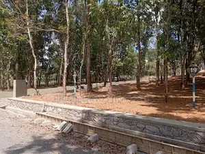 කහතුඩුවට ලඟින් මහෝගනී ඉඩමක්