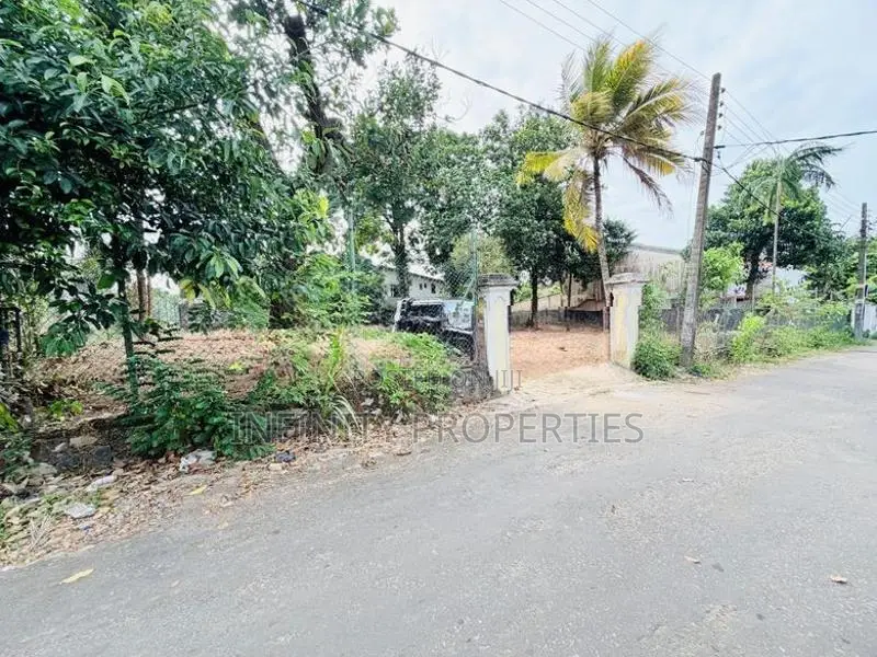 19 P Bare Land Sale At Temple Road Thalawathugoda