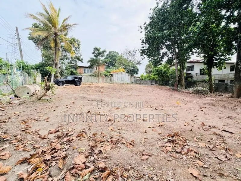 19 P Bare Land Sale At Temple Road Thalawathugoda