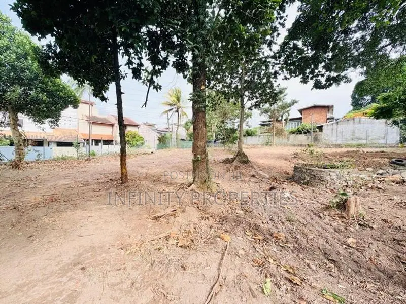 19 P Bare Land Sale At Temple Road Thalawathugoda