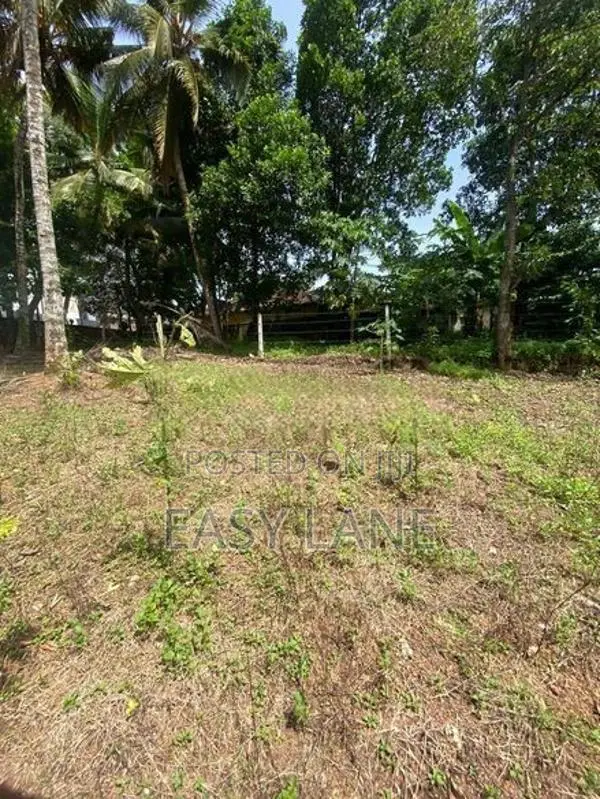 දිගුකාලීන ආයෝජනයකට අතිශය වටිනා අවස්ථාවක් / RU 11518