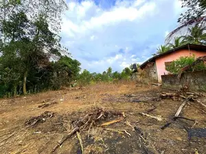 Land in Palagama Polgasowita Kesbewa - for sale