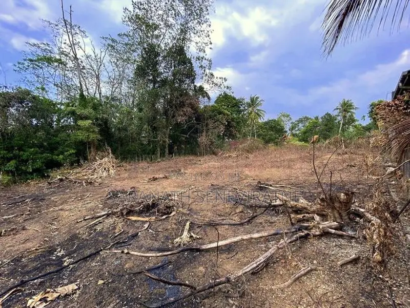 Land in Palagama Polgasowita Kesbewa - for sale