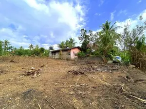 Land in Palagama Polgasowita Kesbewa - for sale
