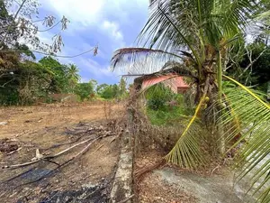 Land in Palagama Polgasowita Kesbewa - for sale