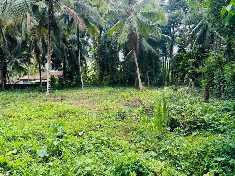 BANDARAGAMA TOWN 40 PERCHES LAND FOR SALE