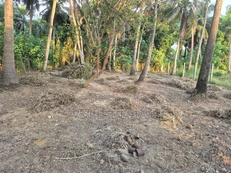 கல்வியங்காடு கட்டபிராய் பகுதியில் 2 பரப்பு காணி விற்பனைக்கு உள்ளது.