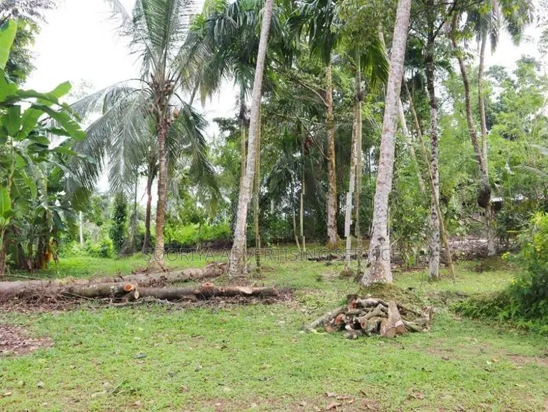 Residential Land for Sale in Kosgama