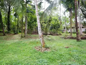 Residential Land for Sale in Kosgama