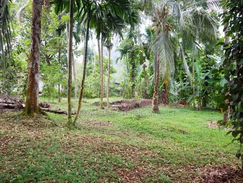 Residential Land for Sale in Kosgama