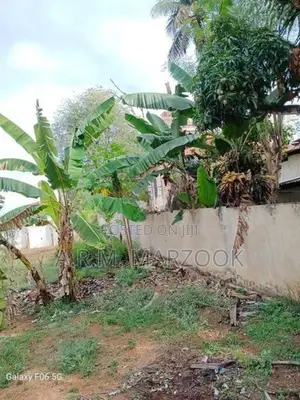 Dehiwala Allen Avenue 11 P of Prime Bare Land for Sale