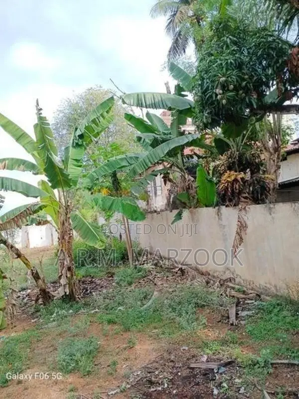 Dehiwala Allen Avenue 11 P of Prime Bare Land for Sale