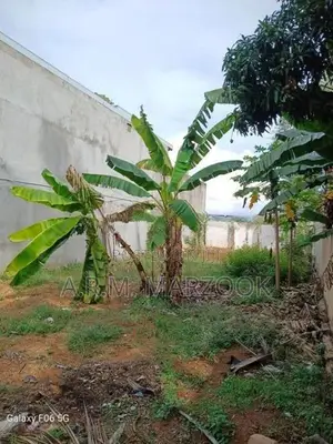 Dehiwala Allen Avenue 11 P of Prime Bare Land for Sale