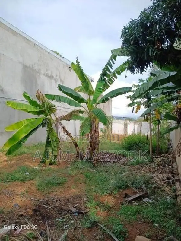 Dehiwala Allen Avenue 11 P of Prime Bare Land for Sale