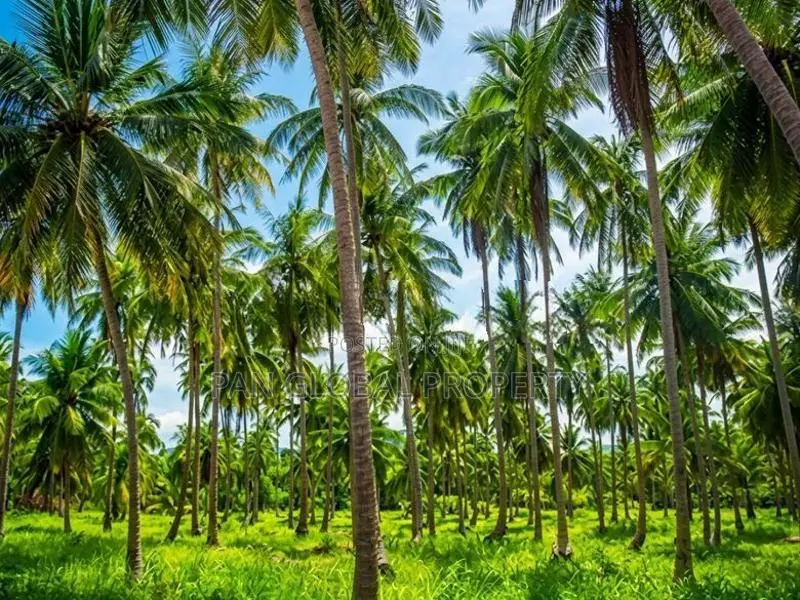 Land for Sale in Padukka