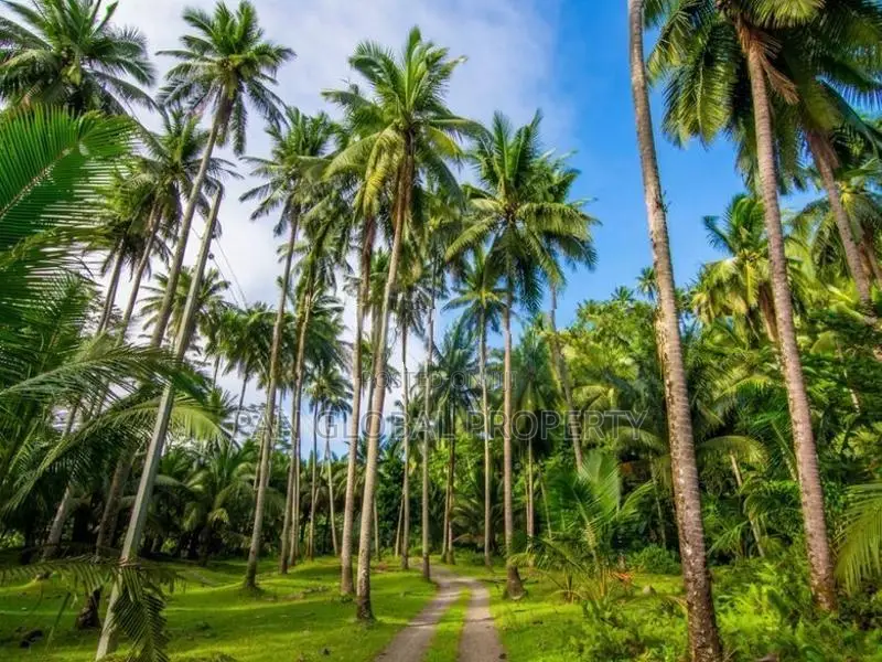 Land for Sale in Padukka