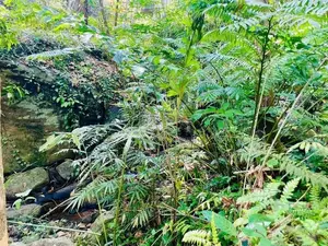 දිය පාරකට මායිම්ව අඩක් නිම කල විලා එකක්