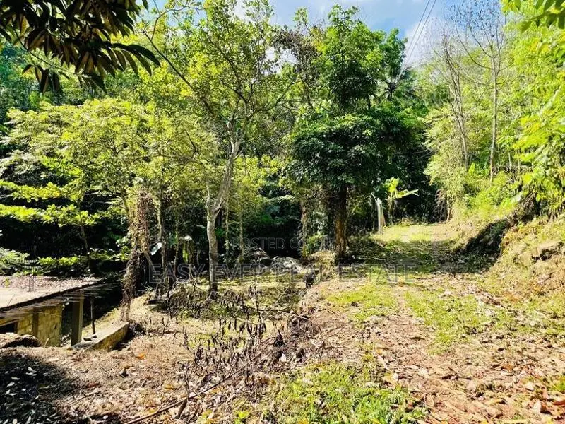 දිය පාරකට මායිම්ව අඩක් නිම කල විලා එකක්