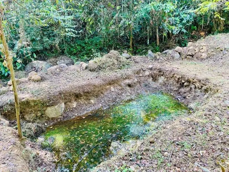 දිය පාරකට මායිම්ව අඩක් නිම කල විලා එකක්
