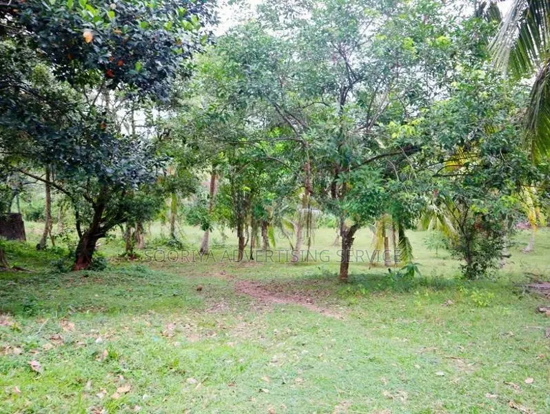 Prime Bolgoda Riverfront Land for Sale in Panadura