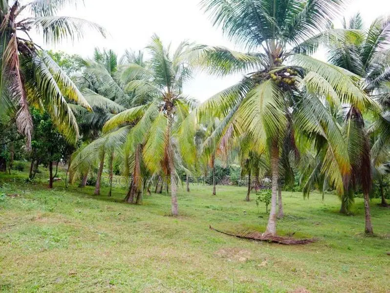 Prime Bolgoda Riverfront Land for Sale in Panadura
