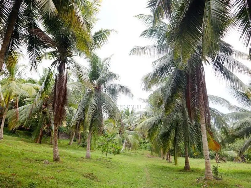 Prime Bolgoda Riverfront Land for Sale in Panadura