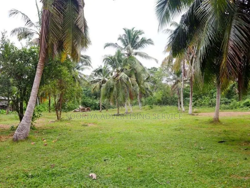 Prime Bolgoda Riverfront Land for Sale in Panadura