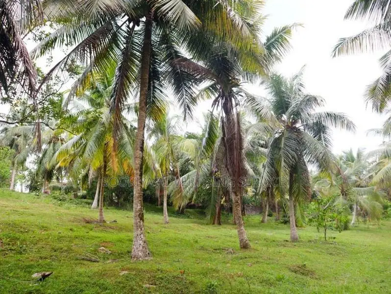 Prime Bolgoda Riverfront Land for Sale in Panadura