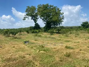 40 PERCH LAND FOR SALE in HAMBANTOTA