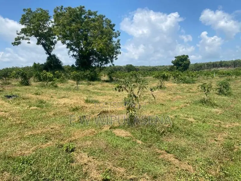 40 PERCH LAND FOR SALE in HAMBANTOTA
