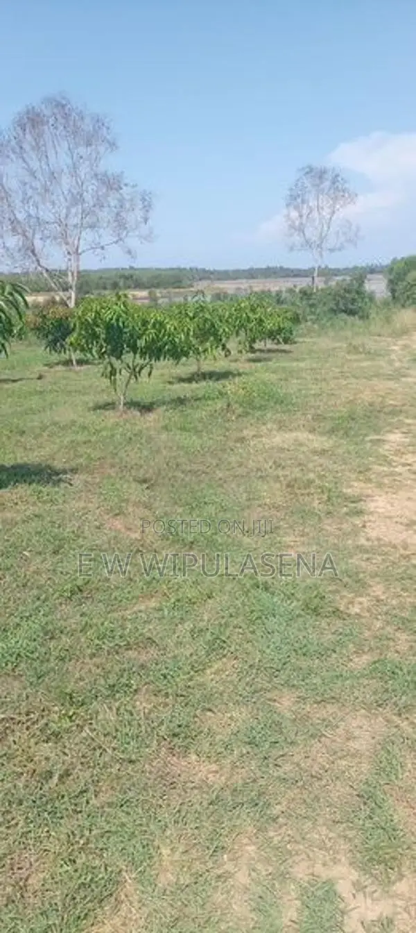 40 PERCH LAND FOR SALE in HAMBANTOTA