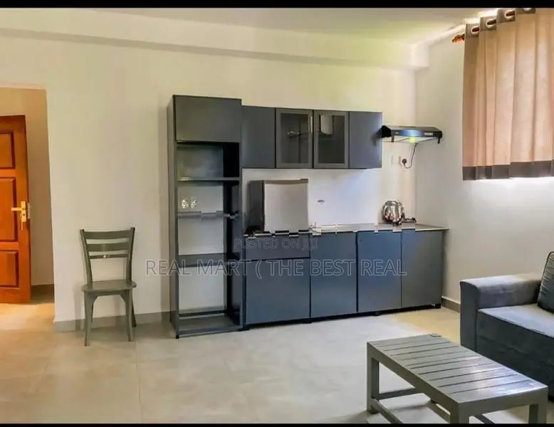 MOUNT LAVINIA : 20 Studio Bedrooms Beach View Luxury Hotel for Sale