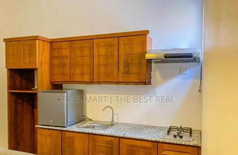 MOUNT LAVINIA : 20 Studio Bedrooms Beach View Luxury Hotel for Sale