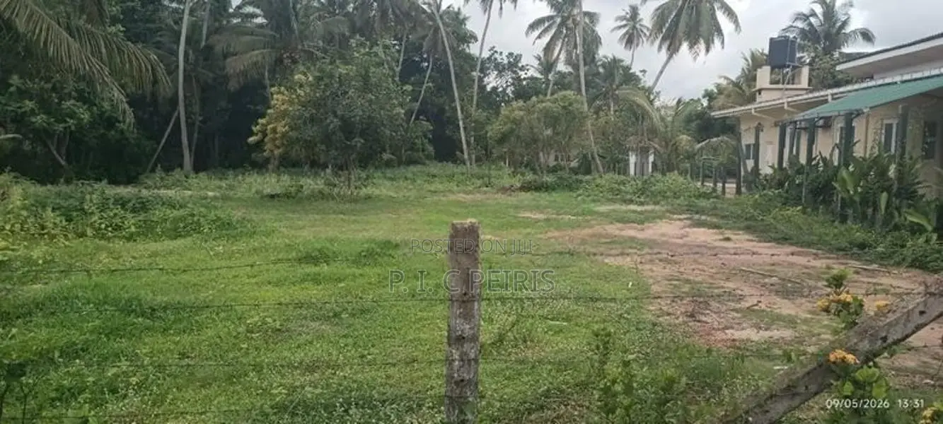 92 perches Land for sale in Thibirigaskatuwa, Negombo.Gampaha